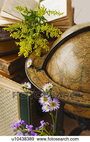 Stock Photo - Flowers with antique globe and books. Fotosearch