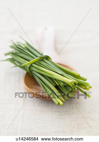 Fresh chives View Large Photo Image Picture - Fresh chives. Fotosearch