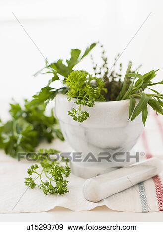 Fresh herbs with mortar and pestle View Large Photo Image Stock Photo - Fresh herbs with mortar and pestle. Fotosearch