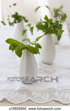 Stock Image - Fresh mint and parsley in vases. Fotosearch