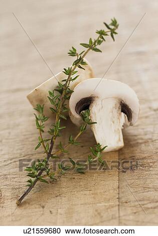 Fresh mushrooms and thyme View Large Photo Image Stock Image - Fresh mushrooms and thyme. Fotosearch