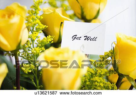 Get well card on bouquet of roses View Large Photo Image Stock Photo - Get well card on bouquet of roses. Fotosearch