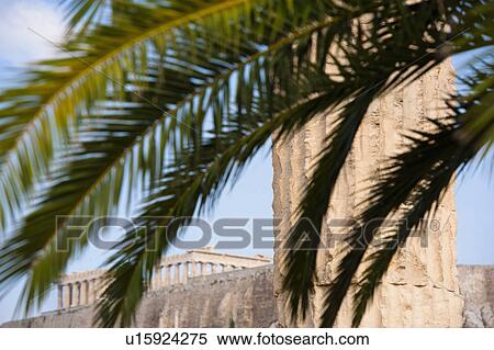 Stock Photography - Greece, Athens, Palm fronds near Temple of Olympian Zeus. Fotosearch