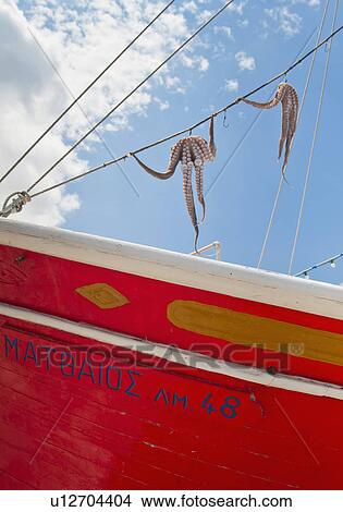 Picture - Greece, Cyclades Islands, Mykonos, Sun drying octopus on fishing boat. Fotosearch
