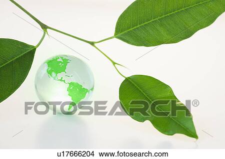 Picture - Green leaves and globe. Fotosearch