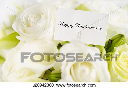 Happy anniversary card on bouquet of roses View Large Photo Image Stock Image - Happy anniversary card on bouquet of roses. Fotosearch