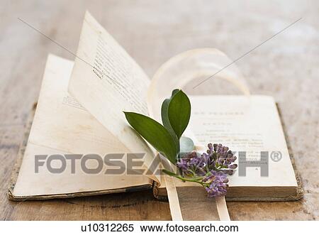Stock Photography - Lavender on open book. Fotosearch