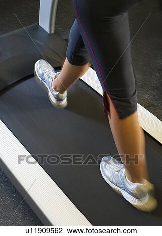 Low section of woman walking on treadmill View Large Photo Image Stock Image - Low section of woman walking on treadmill. Fotosearch