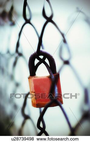 Padlock on chainlink fence View Large Photo Image Stock Photo - Padlock on chainlink fence. Fotosearch