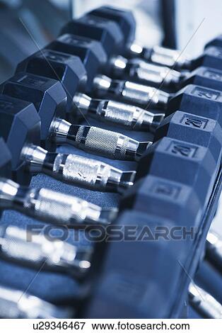 Row of dumbbells in gym View Large Photo Image Stock Photo - Row of dumbbells in gym. Fotosearch