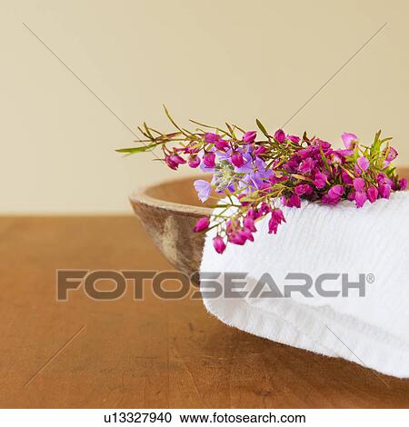 Still life with purple flowers, towel and wooden bowl View Large Photo Image Stock Image - Still life with purple flowers, towel and wooden bowl. Fotosearch
