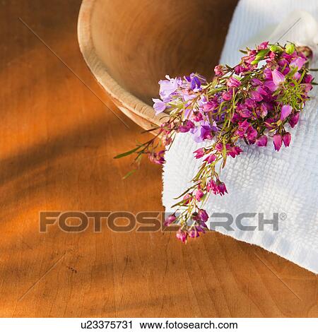 Still life with purple flowers, towel and wooden bowl View Large Photo Image Stock Image - Still life with purple flowers, towel and wooden bowl. Fotosearch