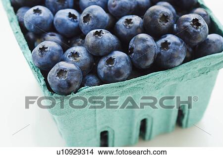 Picture - Studio shot of blueberries. Fotosearch