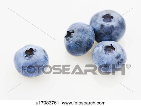 Studio shot of blueberries View Large Photo Image Stock Image - Studio shot of blueberries. Fotosearch
