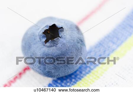 Studio shot of blueberry View Large Photo Image Stock Image - Studio shot of blueberry. Fotosearch