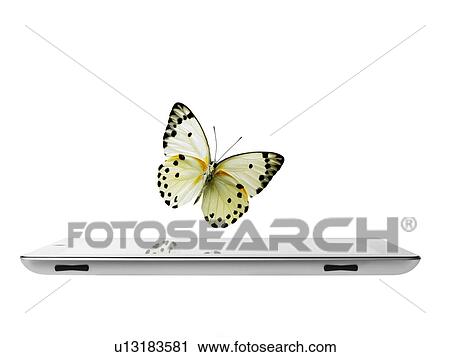 Stock Image - Studio shot of butterfly over digital tablet. Fotosearch