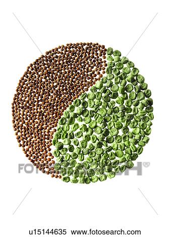 Studio shot of Cardamom Seeds and Pea Seeds making Yin Yang on white background View Large Photo Image Stock Photography - Studio shot of Cardamom Seeds and Pea Seeds making Yin Yang on white background. Fotosearch