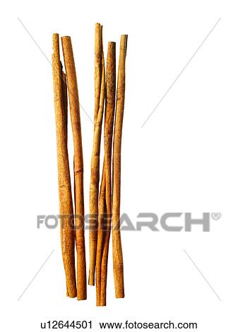 Studio shot of cinnamon sticks View Large Photo Image Stock Image - Studio shot of cinnamon sticks. Fotosearch