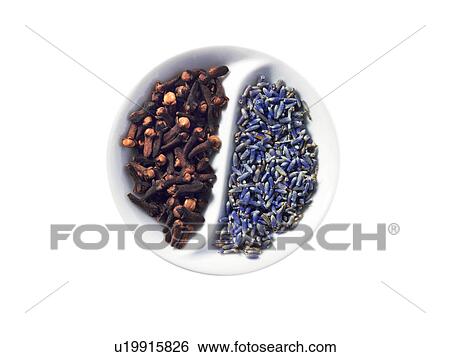Studio shot of cloves and lavender flowers in Yin and Yang shape View Large Photo Image Stock Photograph - Studio shot of cloves and lavender flowers in Yin and Yang shape. Fotosearch