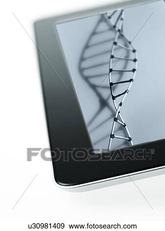 Studio shot of DNA model on digital tablet View Large Photo Image Stock Photo - Studio shot of DNA model on digital tablet. Fotosearch