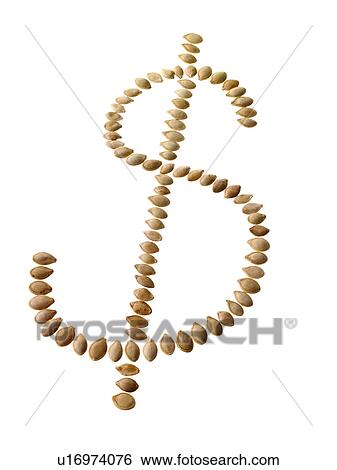 Studio shot of Dollar Sign making Bean Seeds on white background View Large Photo Image Stock Photograph - Studio shot of Dollar Sign making Bean Seeds on white background. Fotosearch