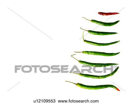 Studio shot of Green and Red Chili Peppers on white background View Large Photo Image Stock Image - Studio shot of Green and Red Chili Peppers on white background. Fotosearch