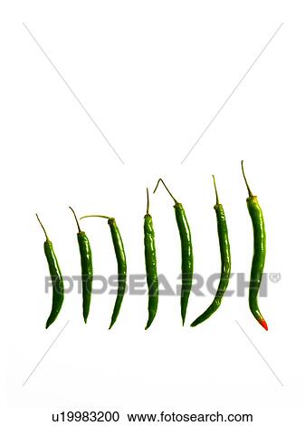 Stock Image - Studio shot of Green Chili Peppers on white background. Fotosearch