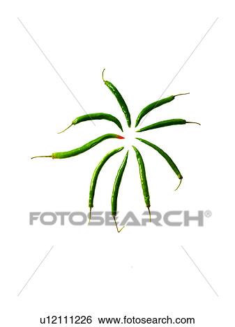 Stock Photograph - Studio shot of Green Chili Peppers on white background. Fotosearch