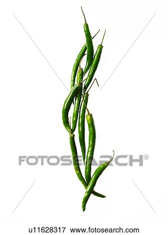 Studio shot of green chili peppers View Large Photo Image Stock Photo - Studio shot of green chili peppers. Fotosearch