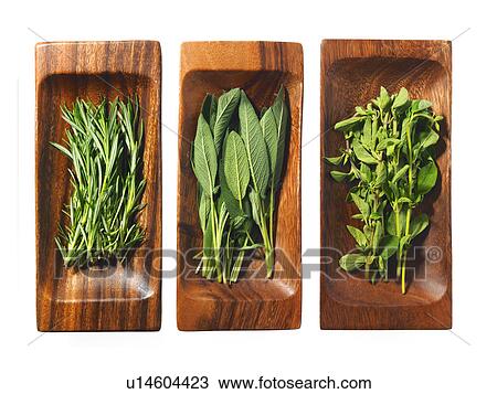 Studio shot of herbs on wooden trays View Large Photo Image Stock Image - Studio shot of herbs on wooden trays. Fotosearch