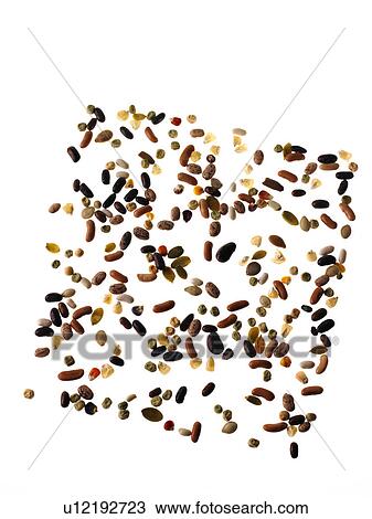 Stock Image - Studio shot of Mixed Seeds on white background. Fotosearch