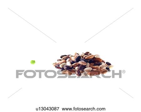 Stock Photo - Studio shot of Mixed Seeds on white background. Fotosearch