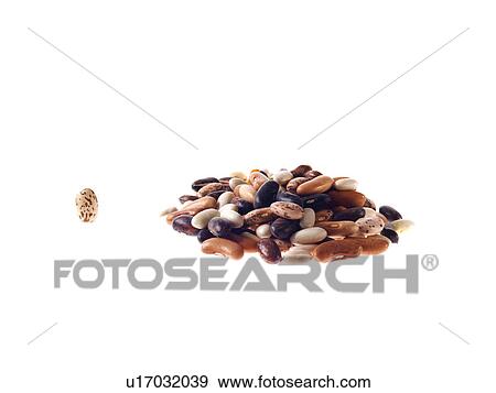 Studio shot of Mixed Seeds on white background View Large Photo Image Stock Photo - Studio shot of Mixed Seeds on white background. Fotosearch