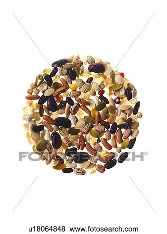 Studio shot of Mixed Seeds on white background View Large Photo Image Stock Photo - Studio shot of Mixed Seeds on white background. Fotosearch