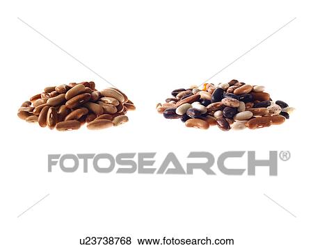 Stock Photo - Studio shot of Mixed Seeds on white background. Fotosearch