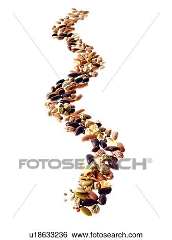 Studio shot of Mixed Seeds on white background View Large Photo Image Stock Photograph - Studio shot of Mixed Seeds on white background. Fotosearch