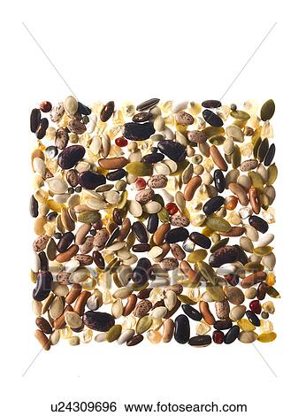 Stock Photograph - Studio shot of Mixed Seeds on white background. Fotosearch