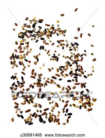 Stock Photograph - Studio shot of Mixed Seeds on white background. Fotosearch