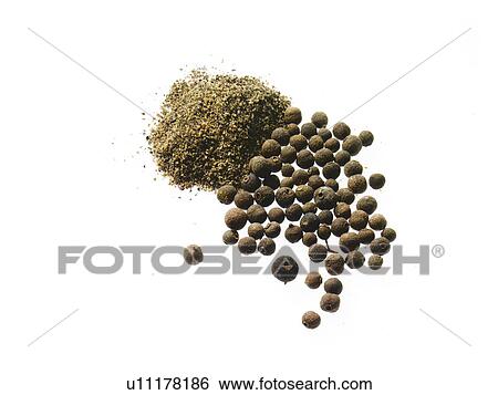 Studio shot of Nutmeg Powder and Whole Nutmeg on white background View Large Photo Image Stock Photograph - Studio shot of Nutmeg Powder and Whole Nutmeg on white background. Fotosearch