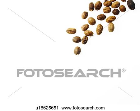 Stock Image - Studio shot of nutmeg. Fotosearch