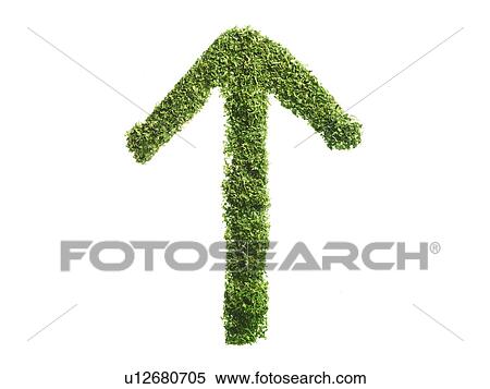 Stock Photography - Studio shot of Parsley Flakes making Arrow sign on white background. Fotosearch