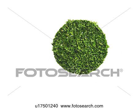 Studio shot of Parsley Flakes on white background View Large Photo Image Stock Image - Studio shot of Parsley Flakes on white background. Fotosearch