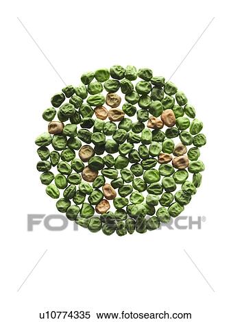 Stock Photography - Studio shot of Pea Seeds and Bean Seeds on white background. Fotosearch