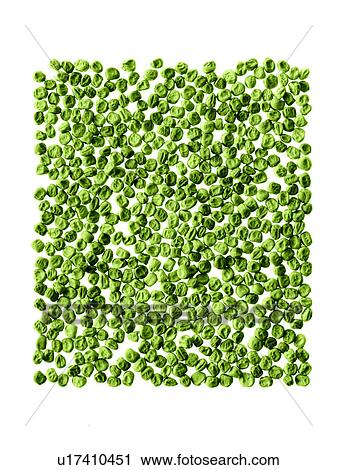 Stock Image - Studio shot of Pea Seeds on white background. Fotosearch