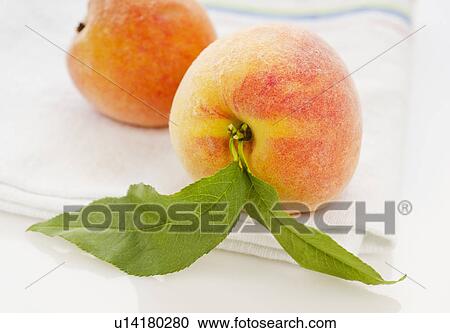 Studio shot of peaches View Large Photo Image Stock Image - Studio shot of peaches. Fotosearch