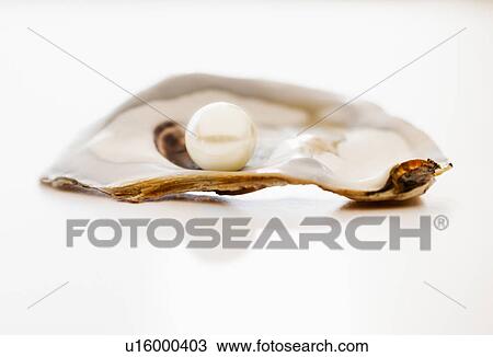 Stock Image - Studio shot of pearl in oyster. Fotosearch