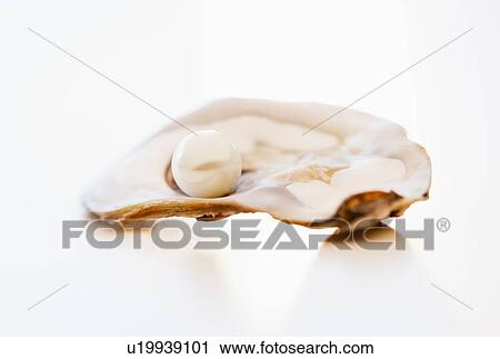 Studio shot of pearl in oyster View Large Photo Image Stock Image - Studio shot of pearl in oyster. Fotosearch