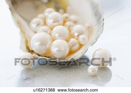 Stock Photo - Studio shot of pearls in oyster. Fotosearch
