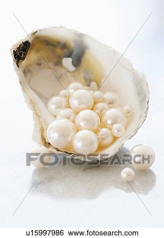 Stock Photograph - Studio shot of pearls in oyster. Fotosearch