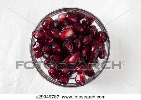 Studio shot of pomegranate (Punica granatum) seeds in bowl View Large Photo Image Stock Photo - Studio shot of pomegranate (Punica granatum) seeds in bowl. Fotosearch